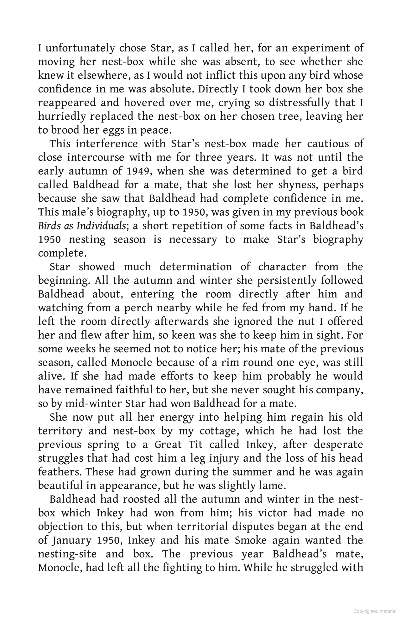 Living with Birds: The true story of one woman’s remarkable relationship with wild birds