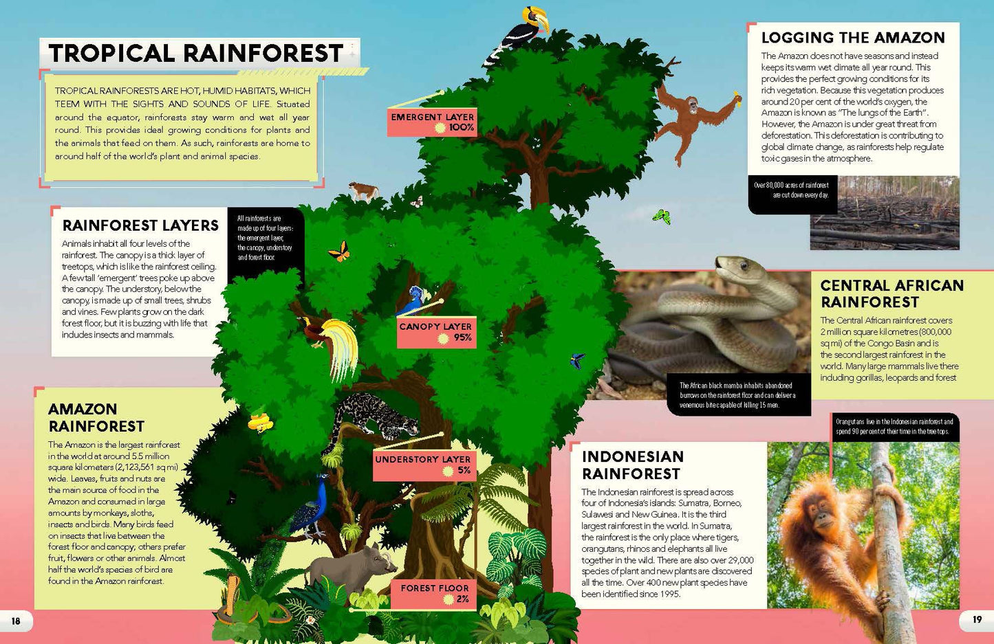 Living Planet: The Story of Survival on Planet Earth