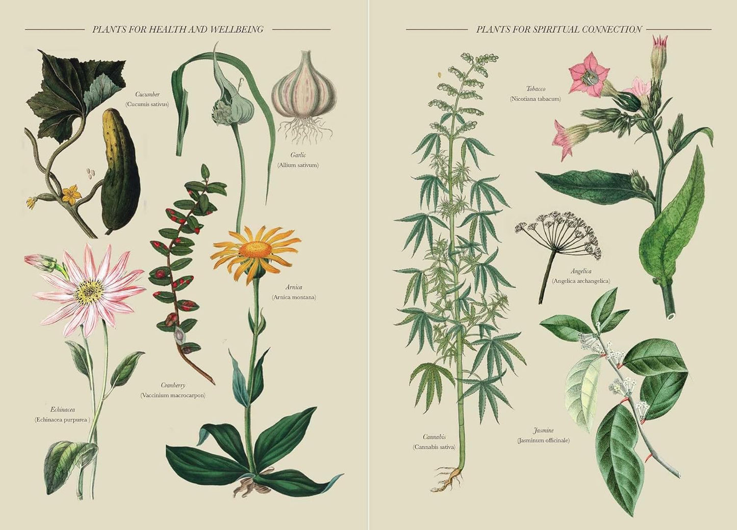A Practical Guide to Magic in Nature