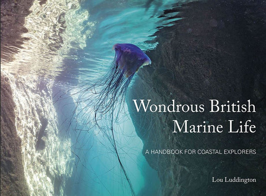 Wondrous British Marine Life: A handbook for coastal explorers