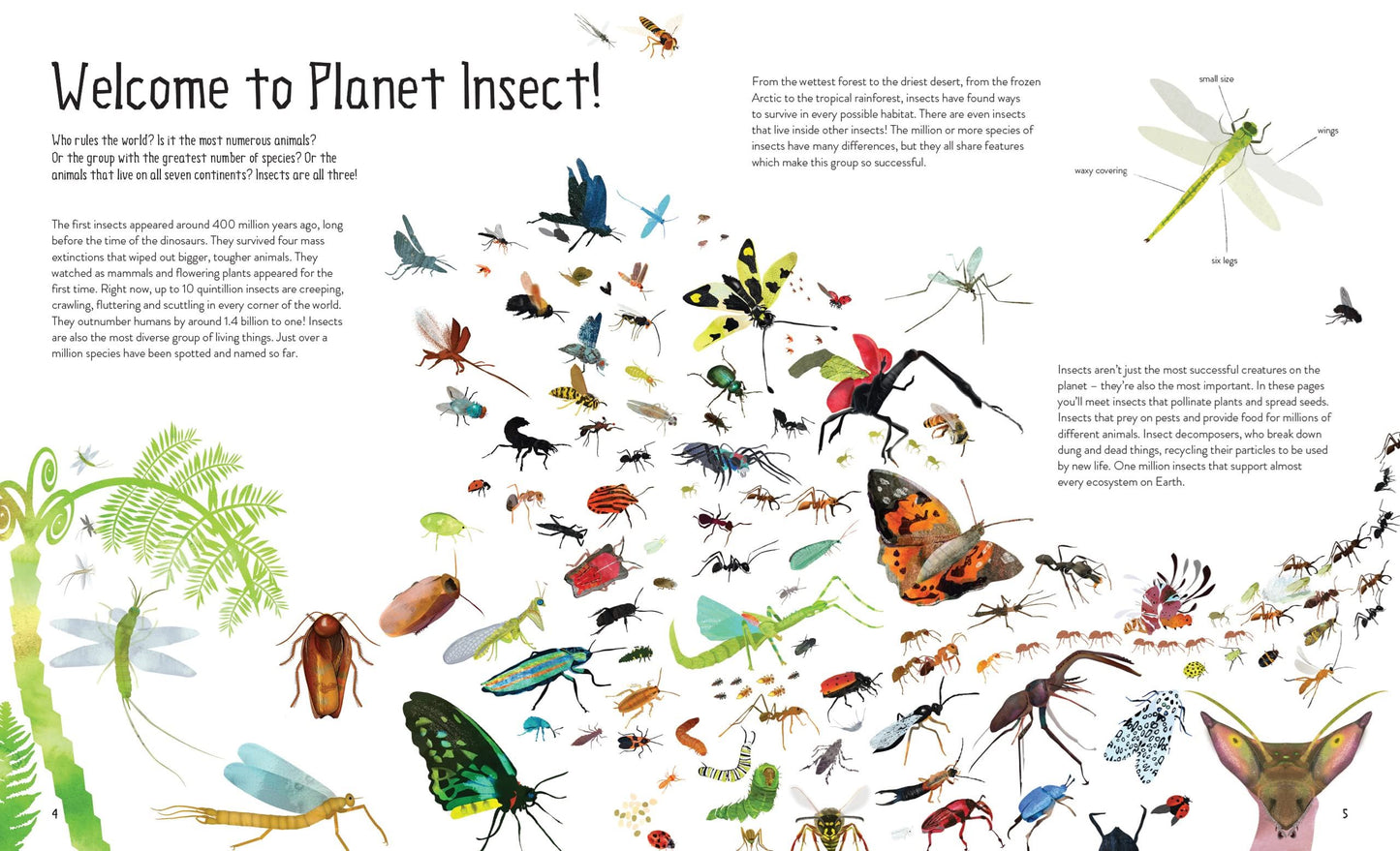 One Million Insects