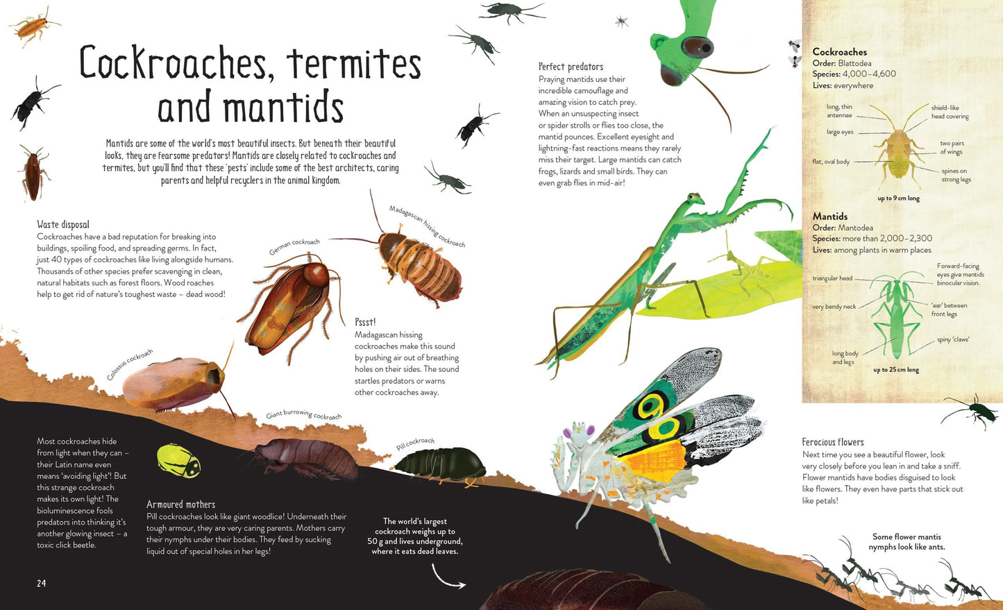 One Million Insects