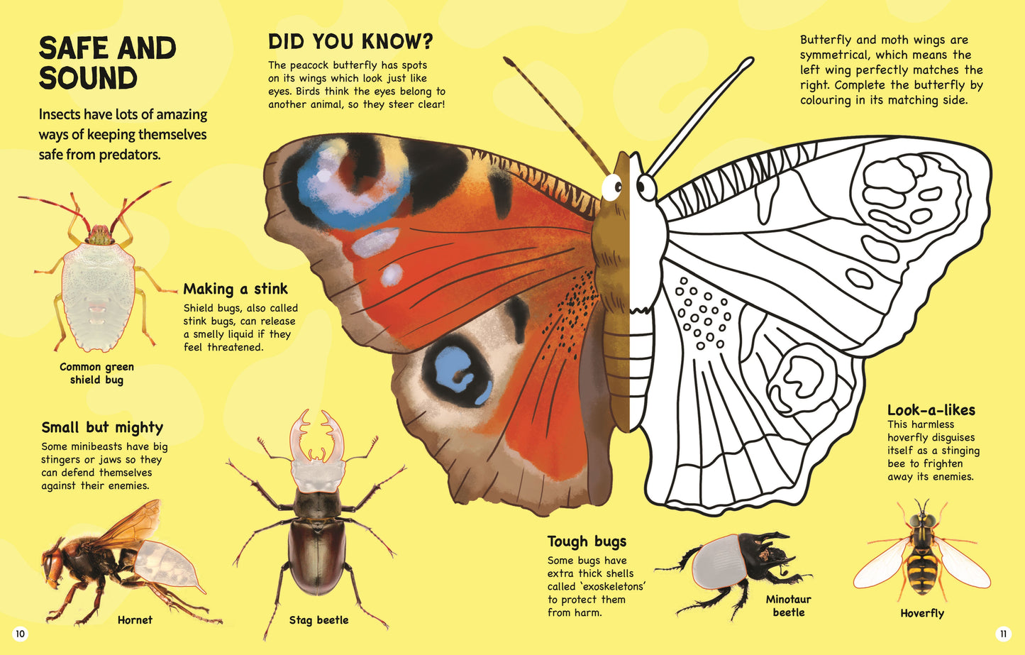 RSPB Minibeasts Activity Book