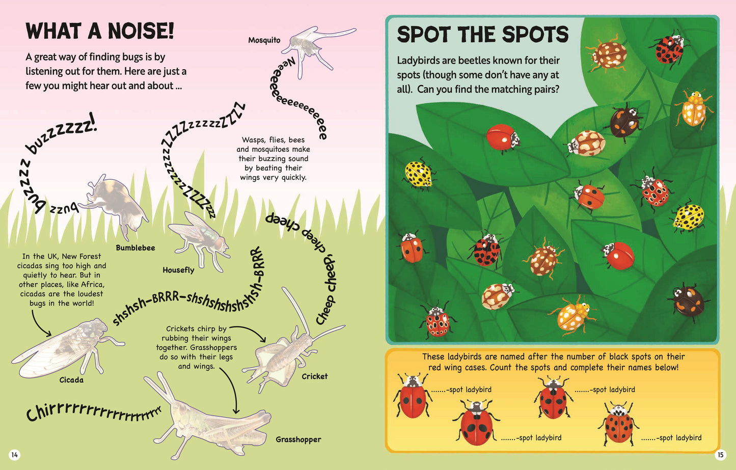 RSPB Minibeasts Activity Book