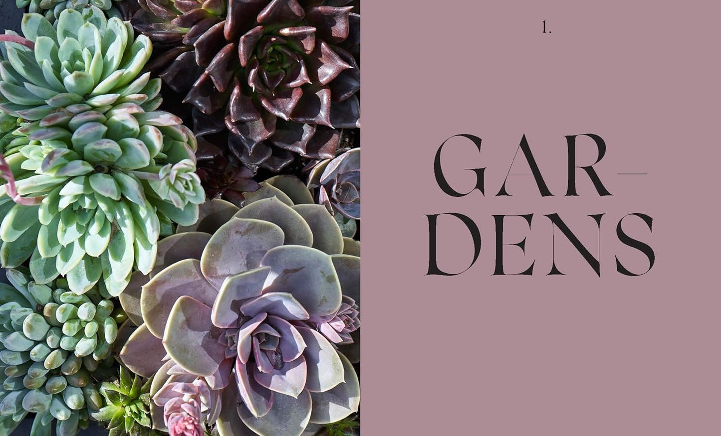 Modern Container Gardening: How to Create a Stylish Small-Space Garden Anywhere (Used)