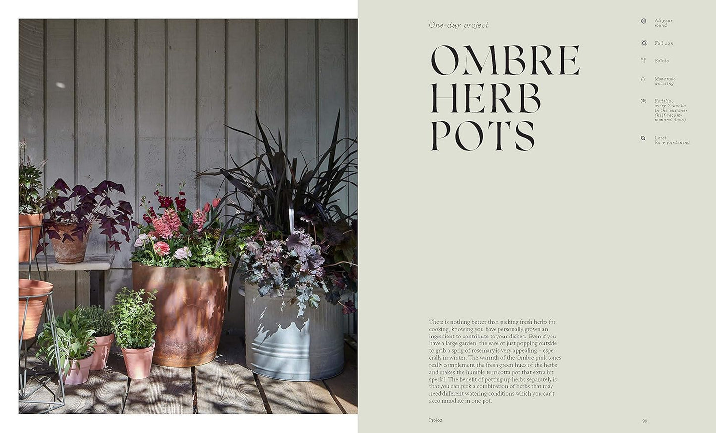 Modern Container Gardening: How to Create a Stylish Small-Space Garden Anywhere (Used)