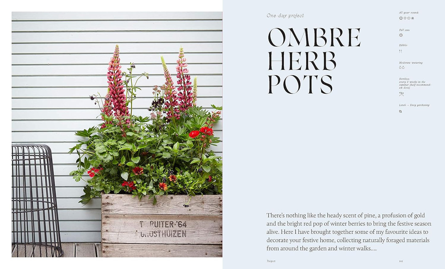 Modern Container Gardening: How to Create a Stylish Small-Space Garden Anywhere (Used)