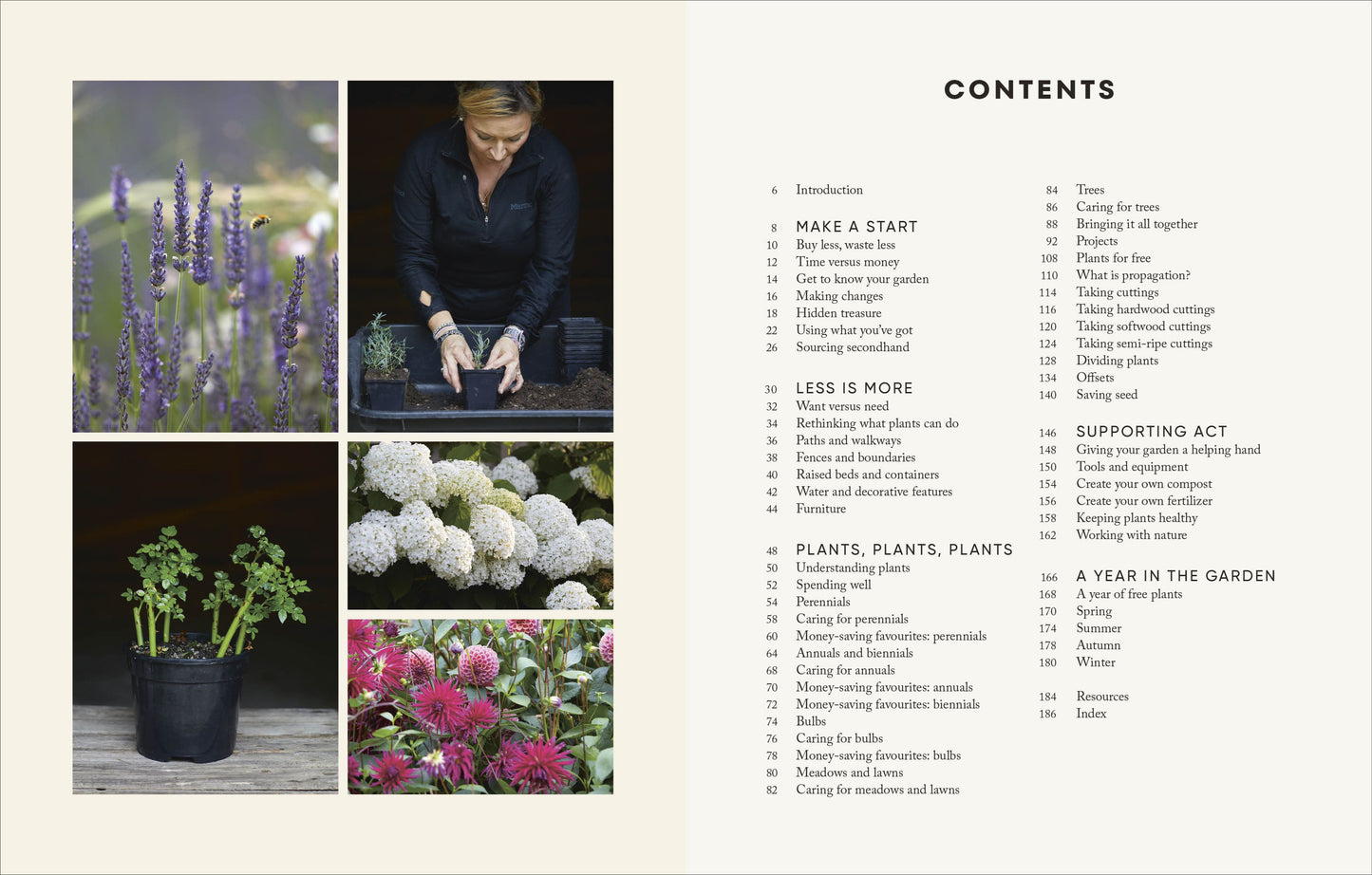 The Money-Saving Gardener