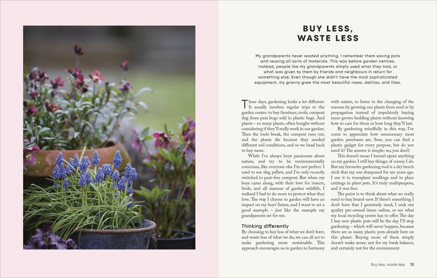 The Money-Saving Gardener