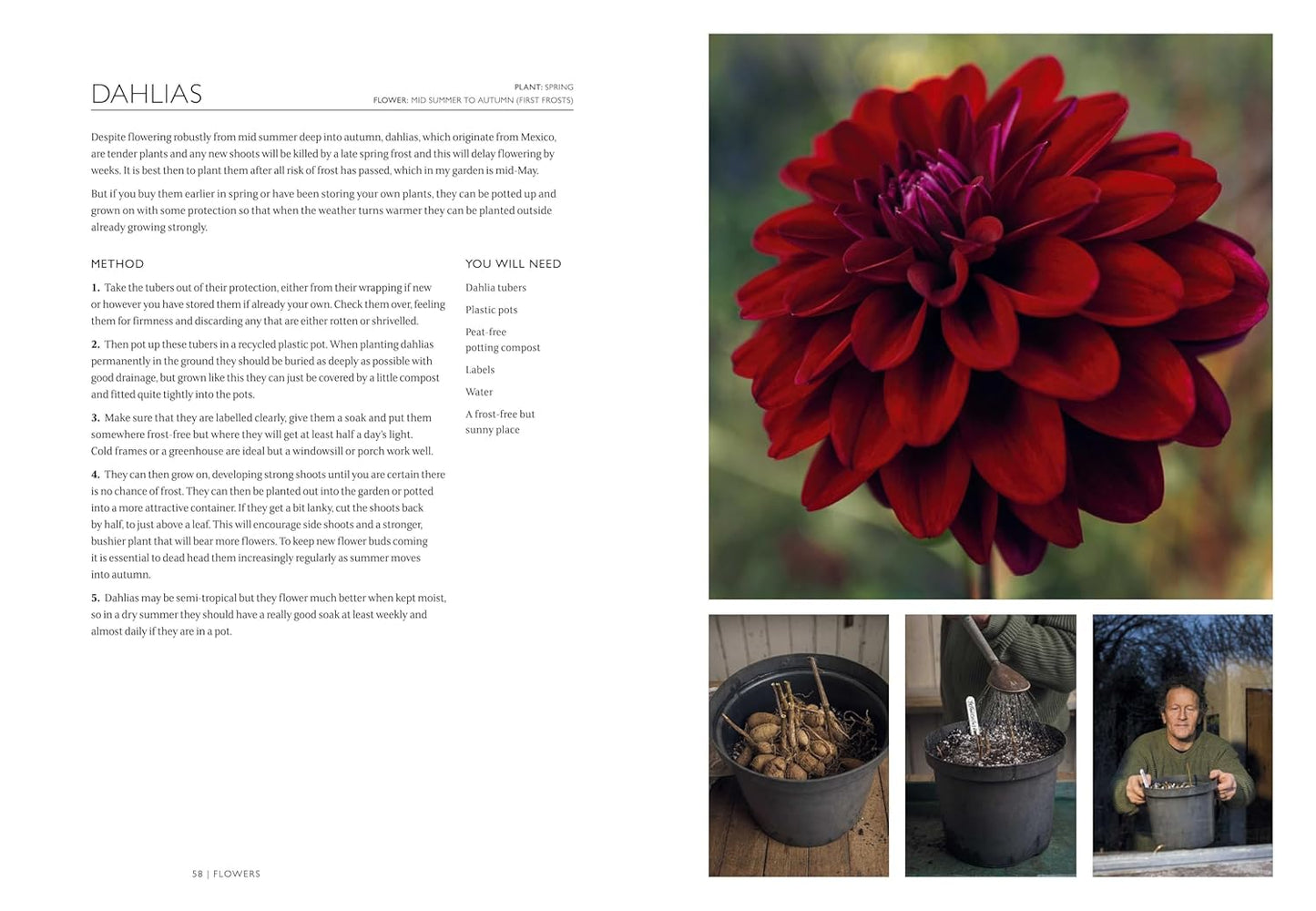 The Gardening Book