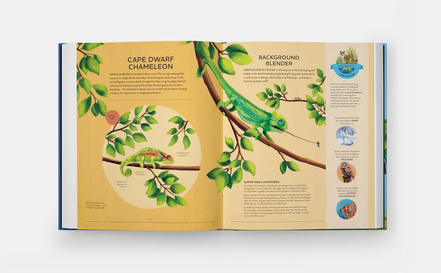Nature's Tiny Champions: The Big Book of Little Creatures Doing Mighty Things (Featuring incredible life-size diagrams!)