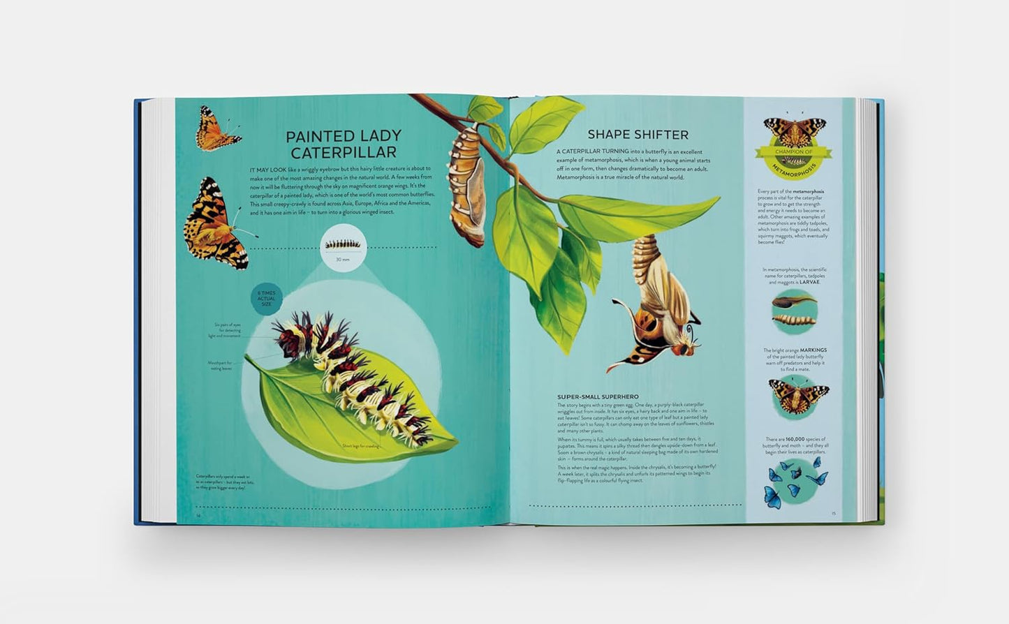 Nature's Tiny Champions: The Big Book of Little Creatures Doing Mighty Things (Featuring incredible life-size diagrams!)