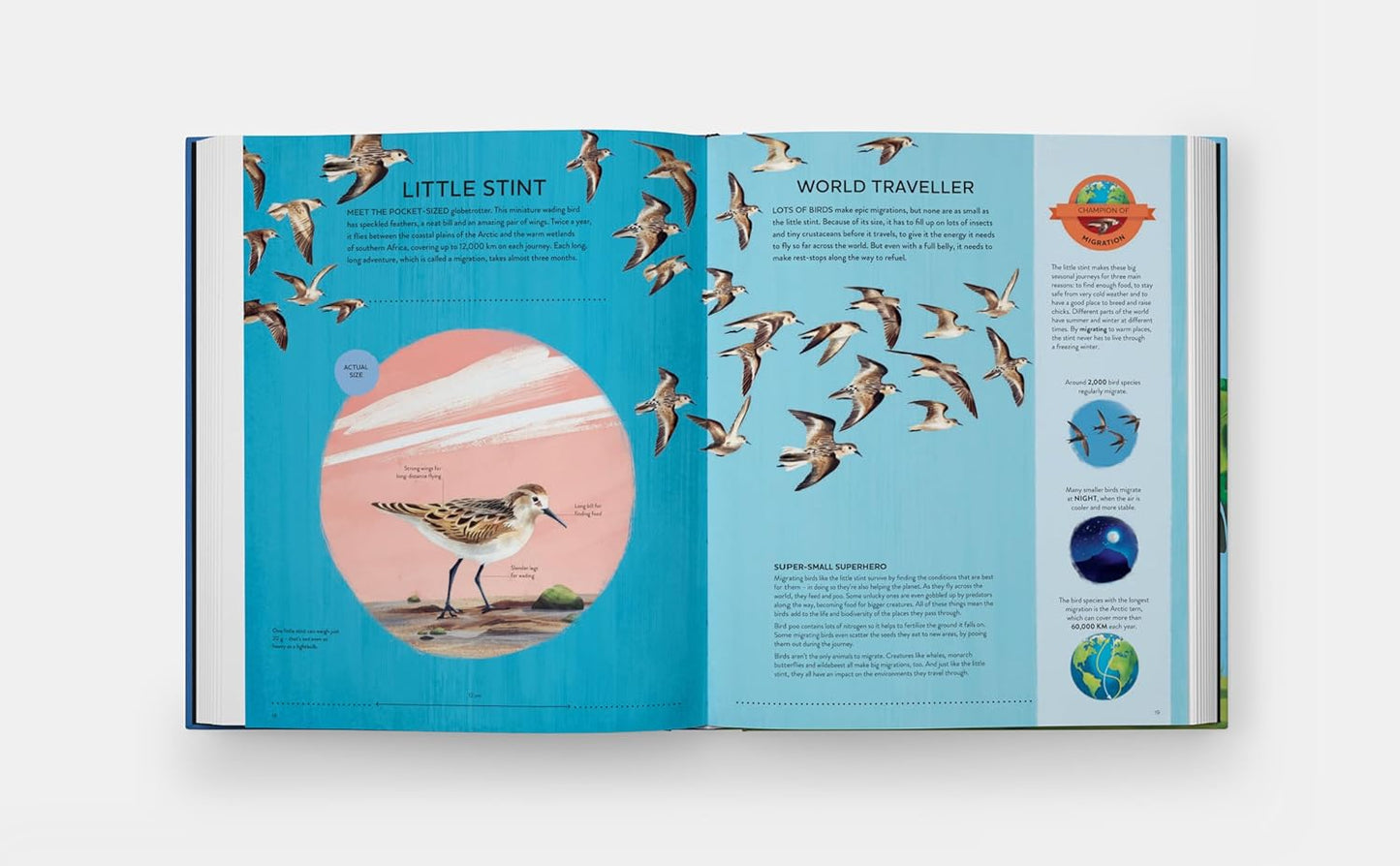Nature's Tiny Champions: The Big Book of Little Creatures Doing Mighty Things (Featuring incredible life-size diagrams!)