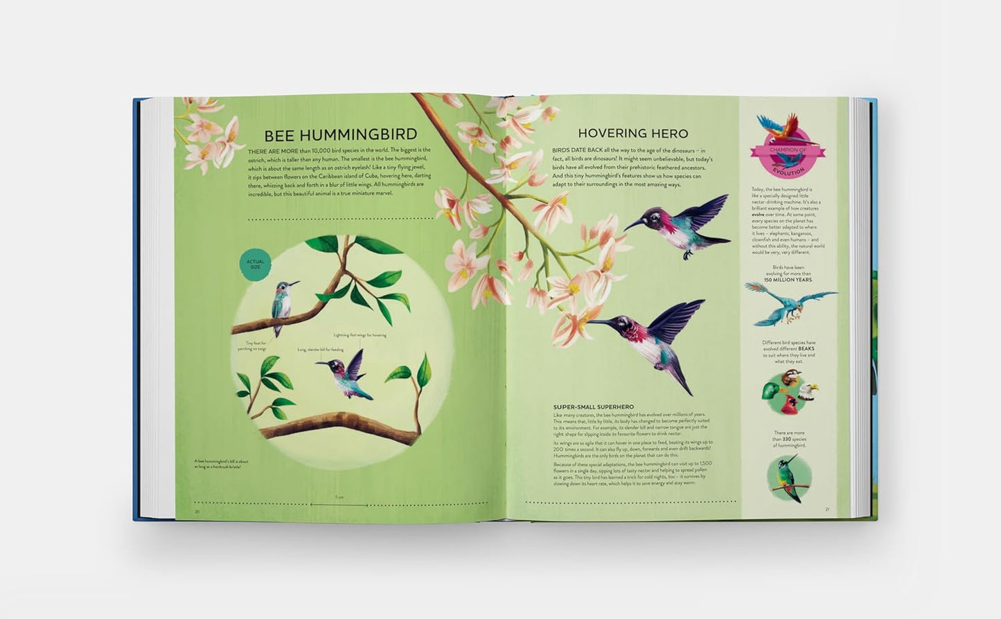 Nature's Tiny Champions: The Big Book of Little Creatures Doing Mighty Things (Featuring incredible life-size diagrams!)