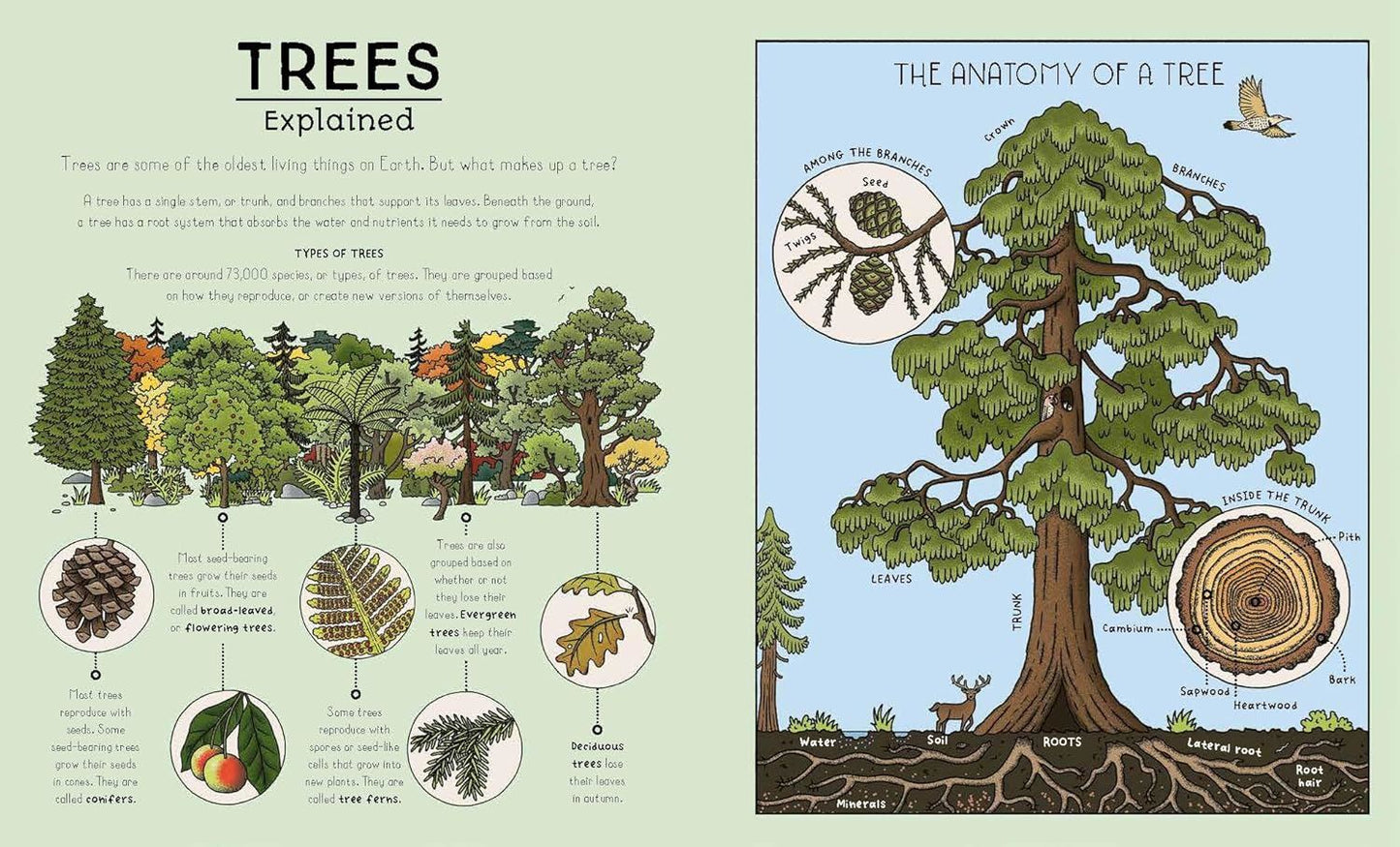 Nature Explained: A Family Guide to 20 Nature Cycles