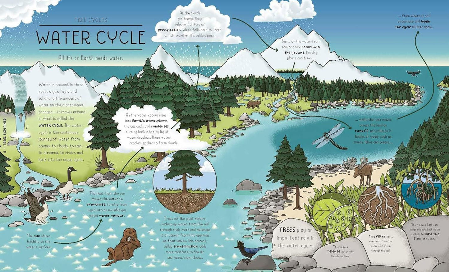 Nature Explained: A Family Guide to 20 Nature Cycles