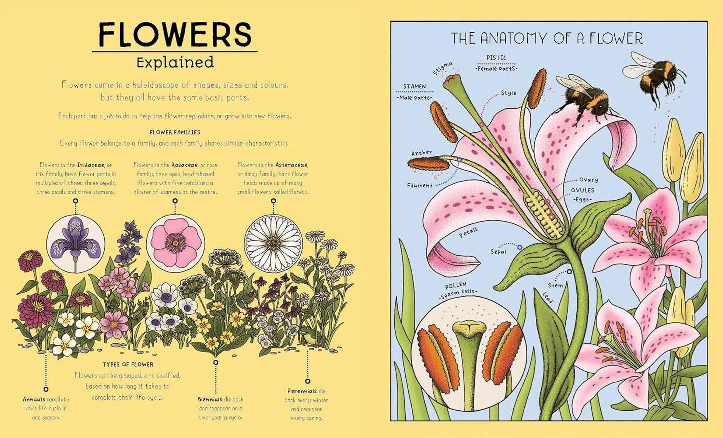 Nature Explained: A Family Guide to 20 Nature Cycles