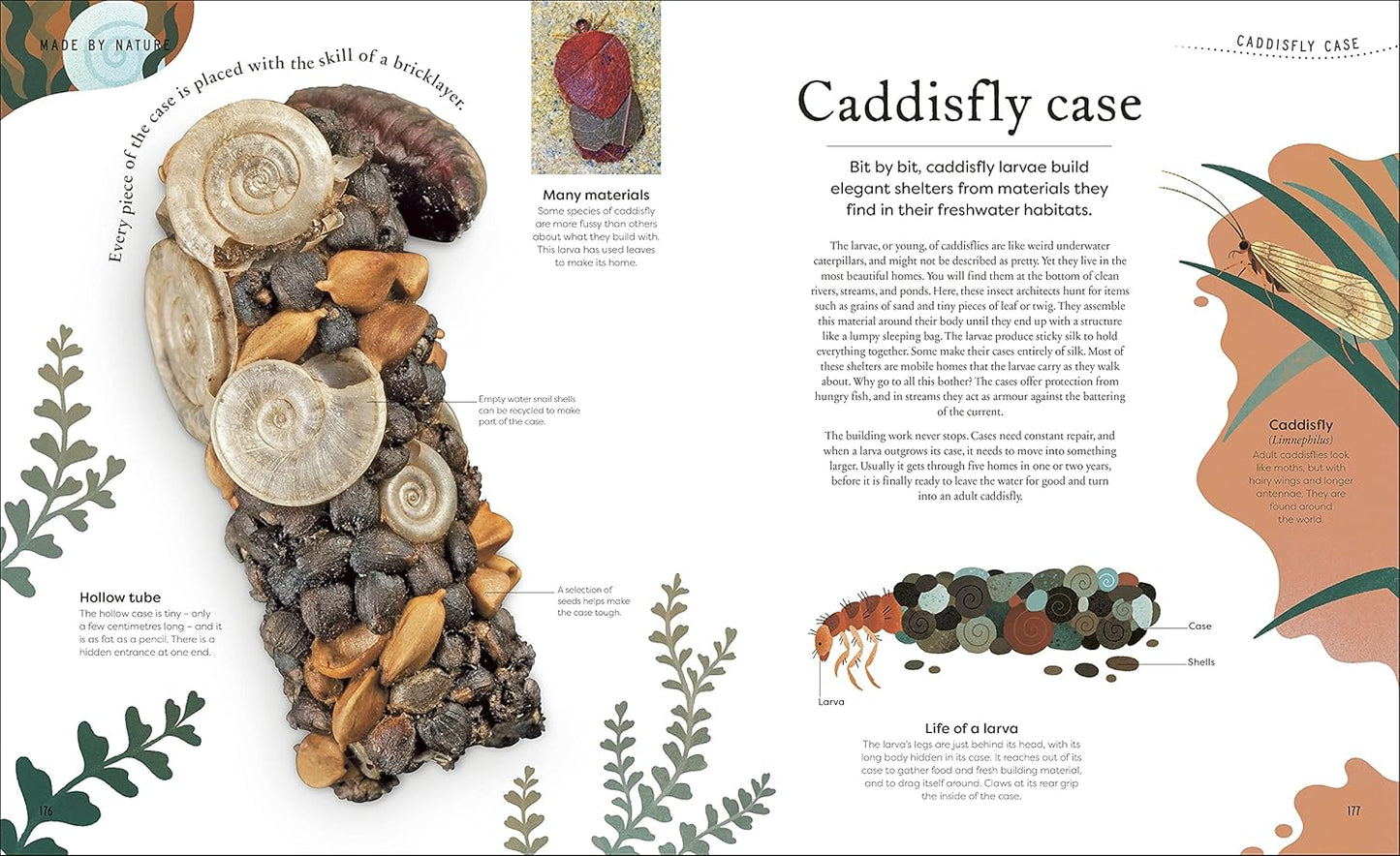 Nature's Treasures: Tales Of More Than 100 Extraordinary Objects From Nature