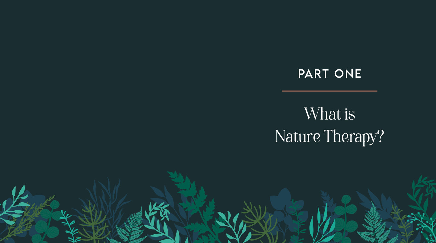 Nature Therapy: How to Use Ecotherapy to Boost Your Sense of Well-Being