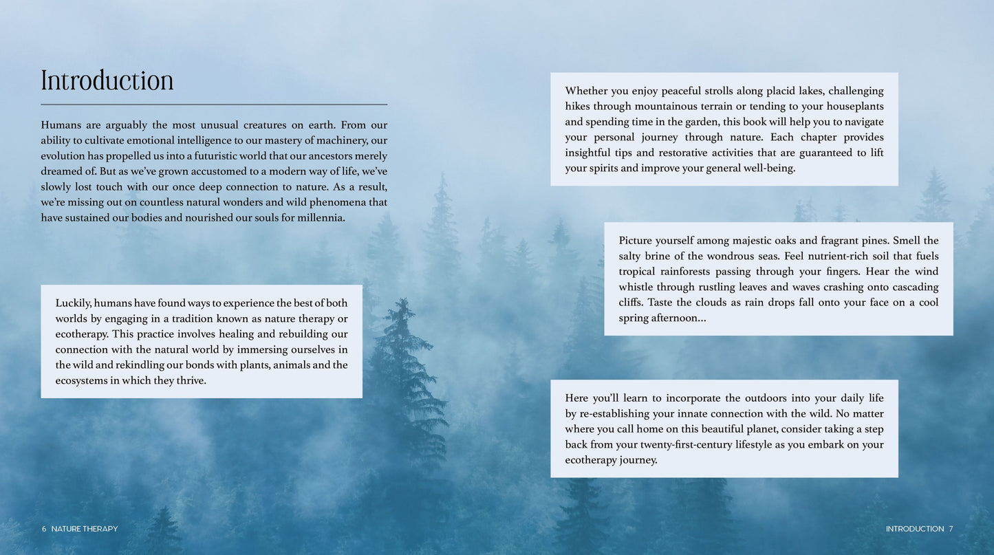 Nature Therapy: How to Use Ecotherapy to Boost Your Sense of Well-Being