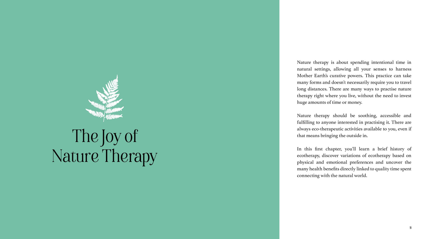 Nature Therapy: How to Use Ecotherapy to Boost Your Sense of Well-Being