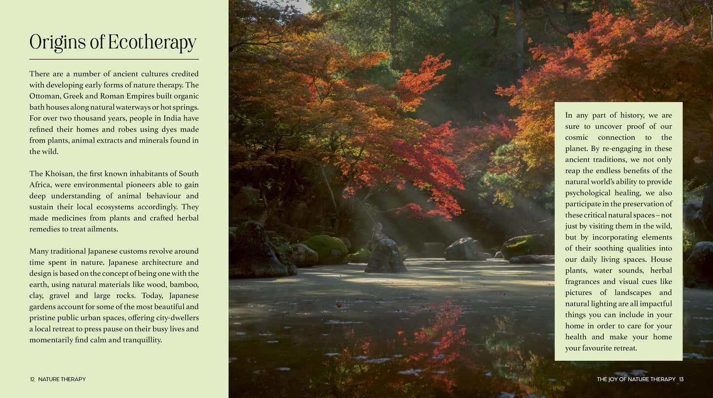 Nature Therapy: How to Use Ecotherapy to Boost Your Sense of Well-Being