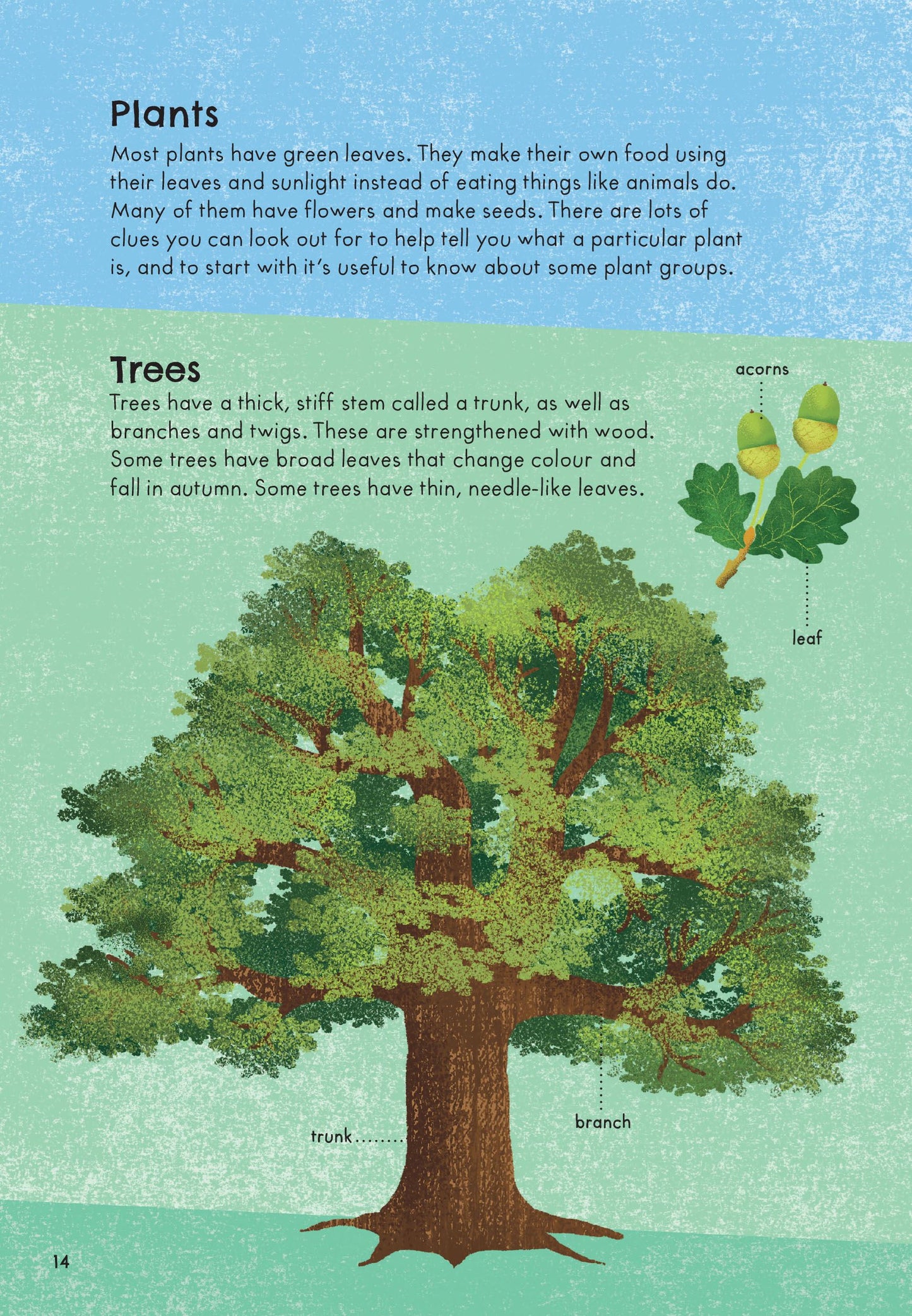RSPB Nature Guide: Wildlife