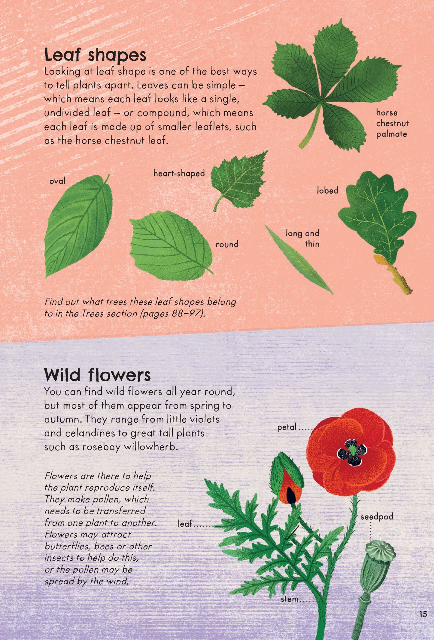 RSPB Nature Guide: Wildlife