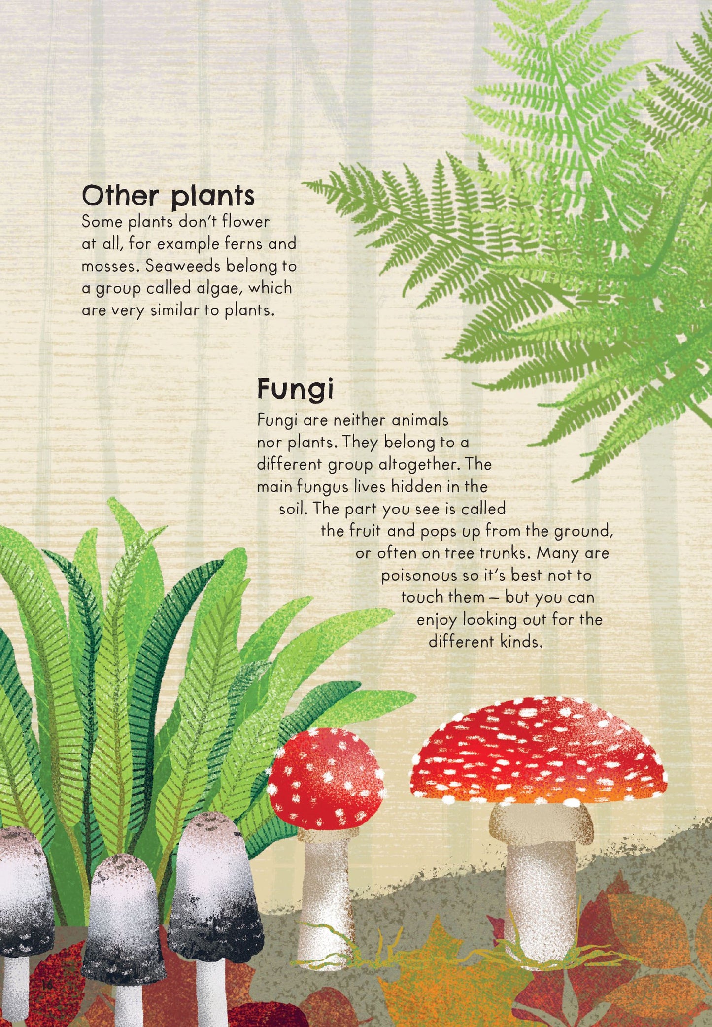 RSPB Nature Guide: Wildlife