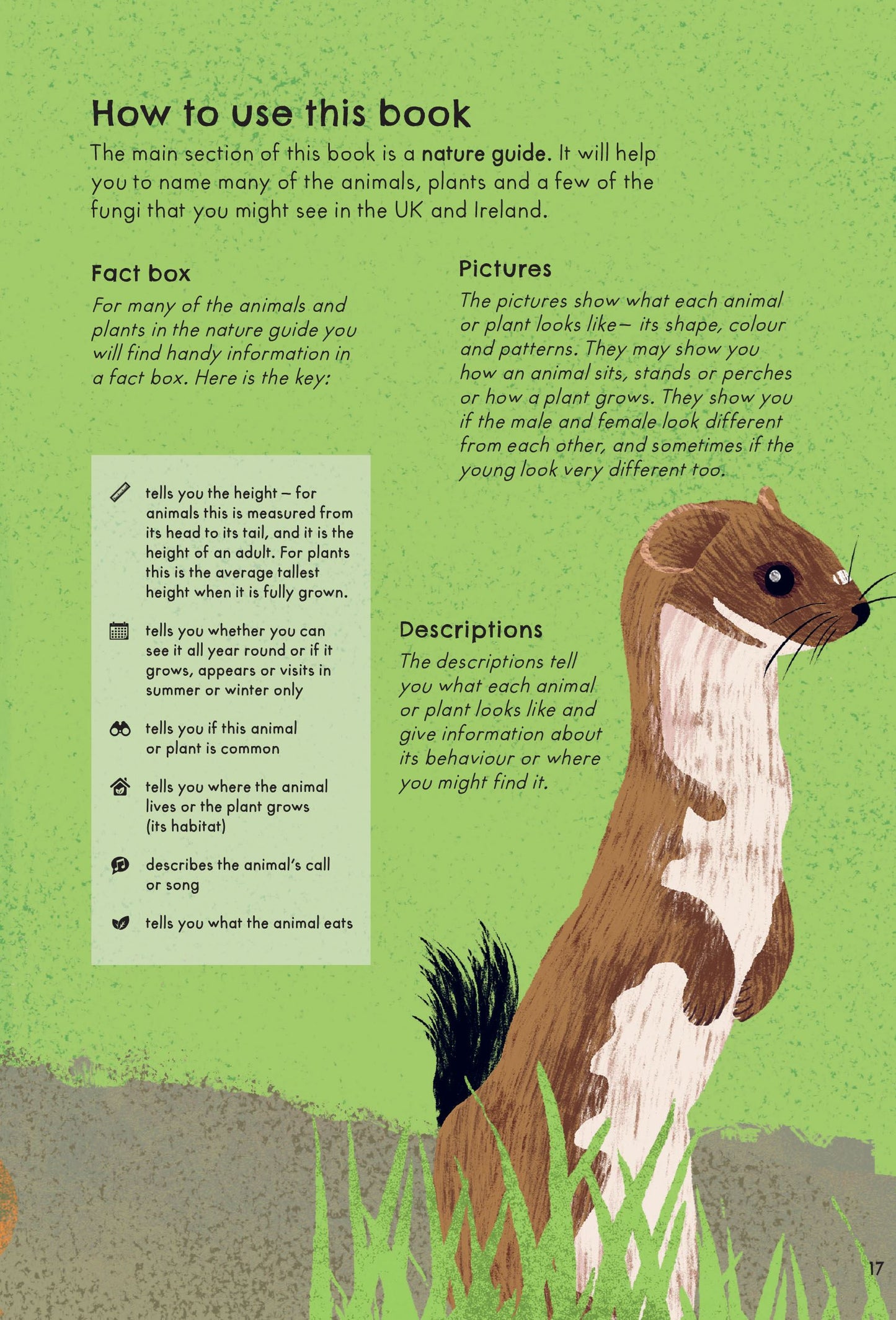 RSPB Nature Guide: Wildlife