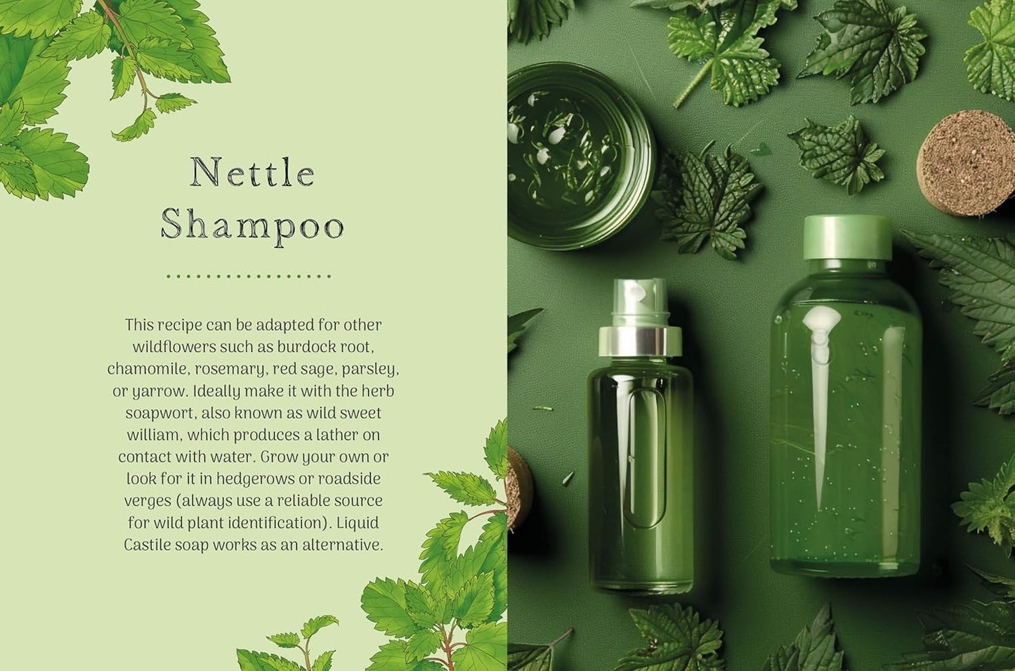 The Little Wild Library: Nettle : Simple Things to Do with the Plants Around You