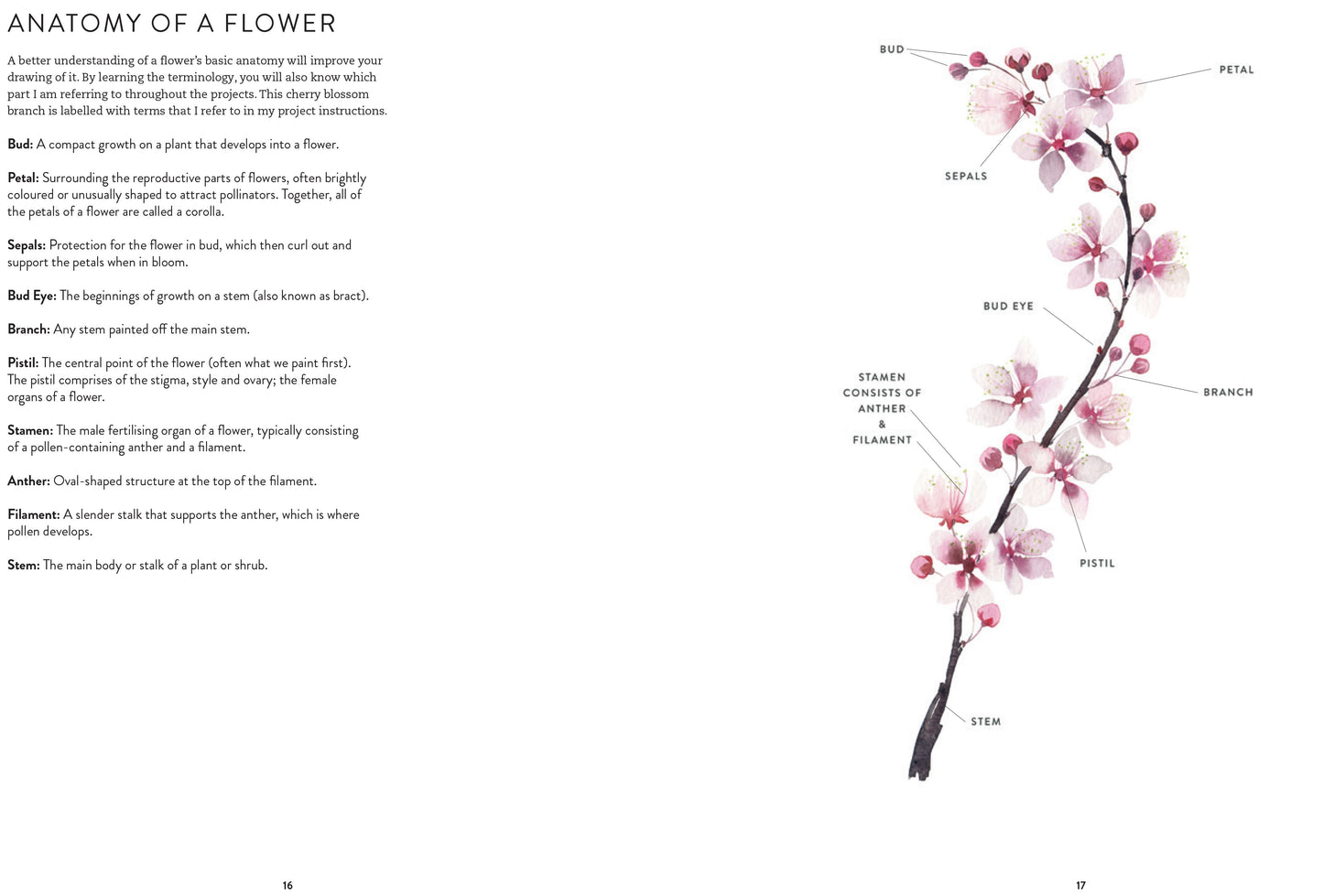 New Botanical Painting