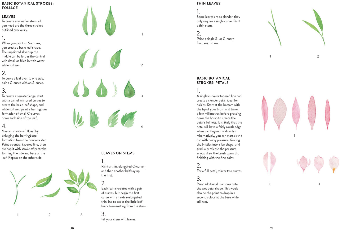 New Botanical Painting