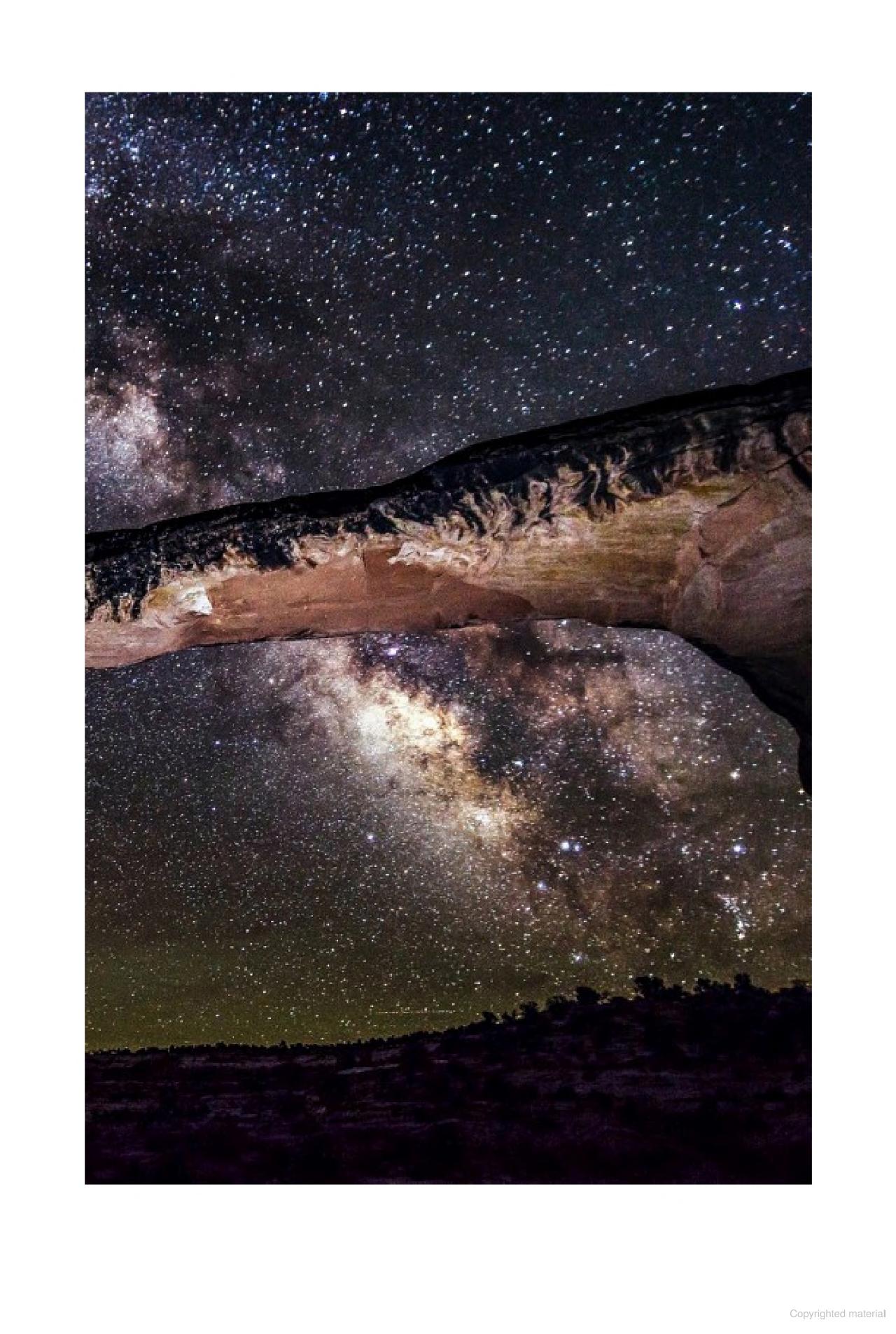 Nature at Night : Discover the Hidden World That Comes Alive after Dark