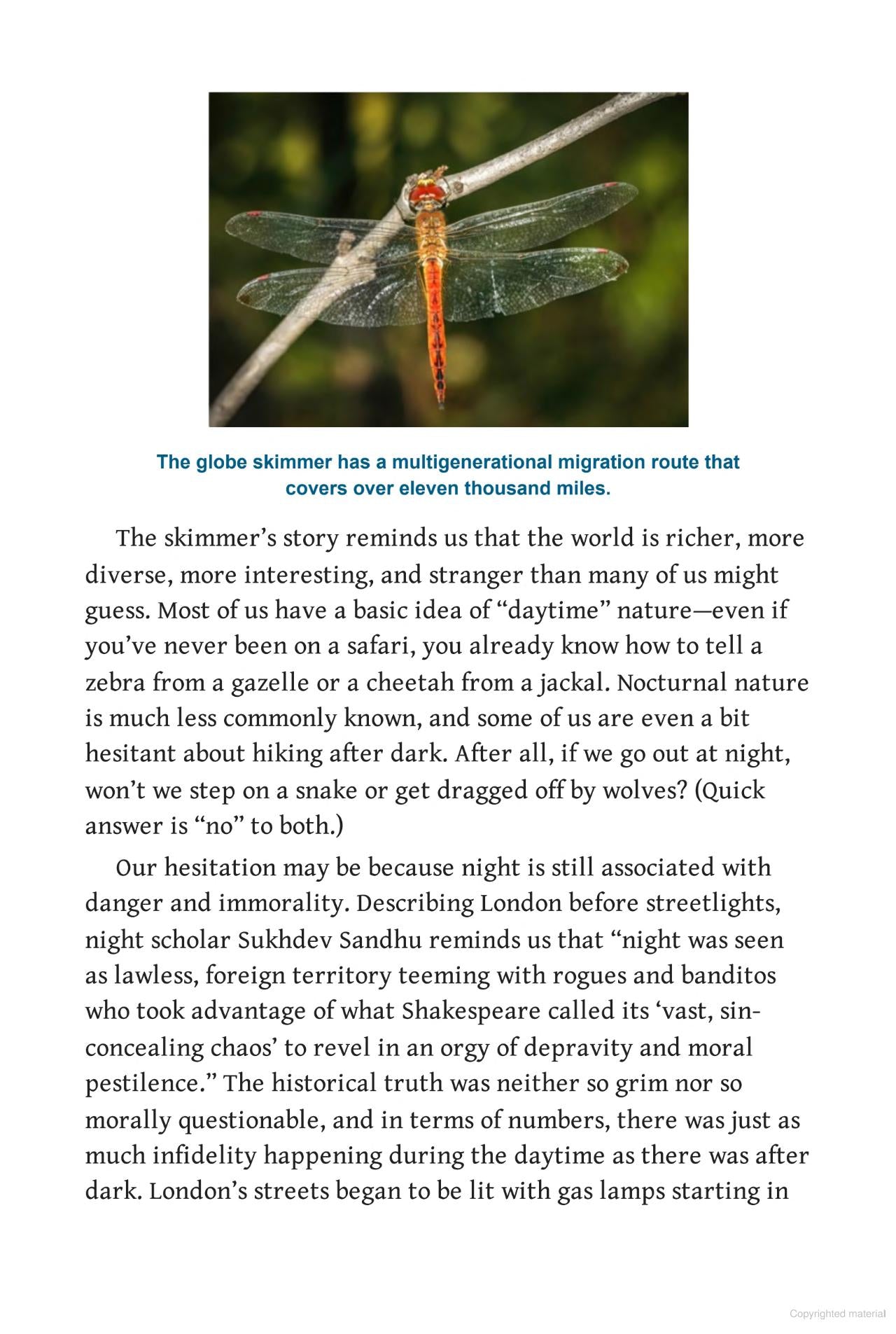 Nature at Night : Discover the Hidden World That Comes Alive after Dark