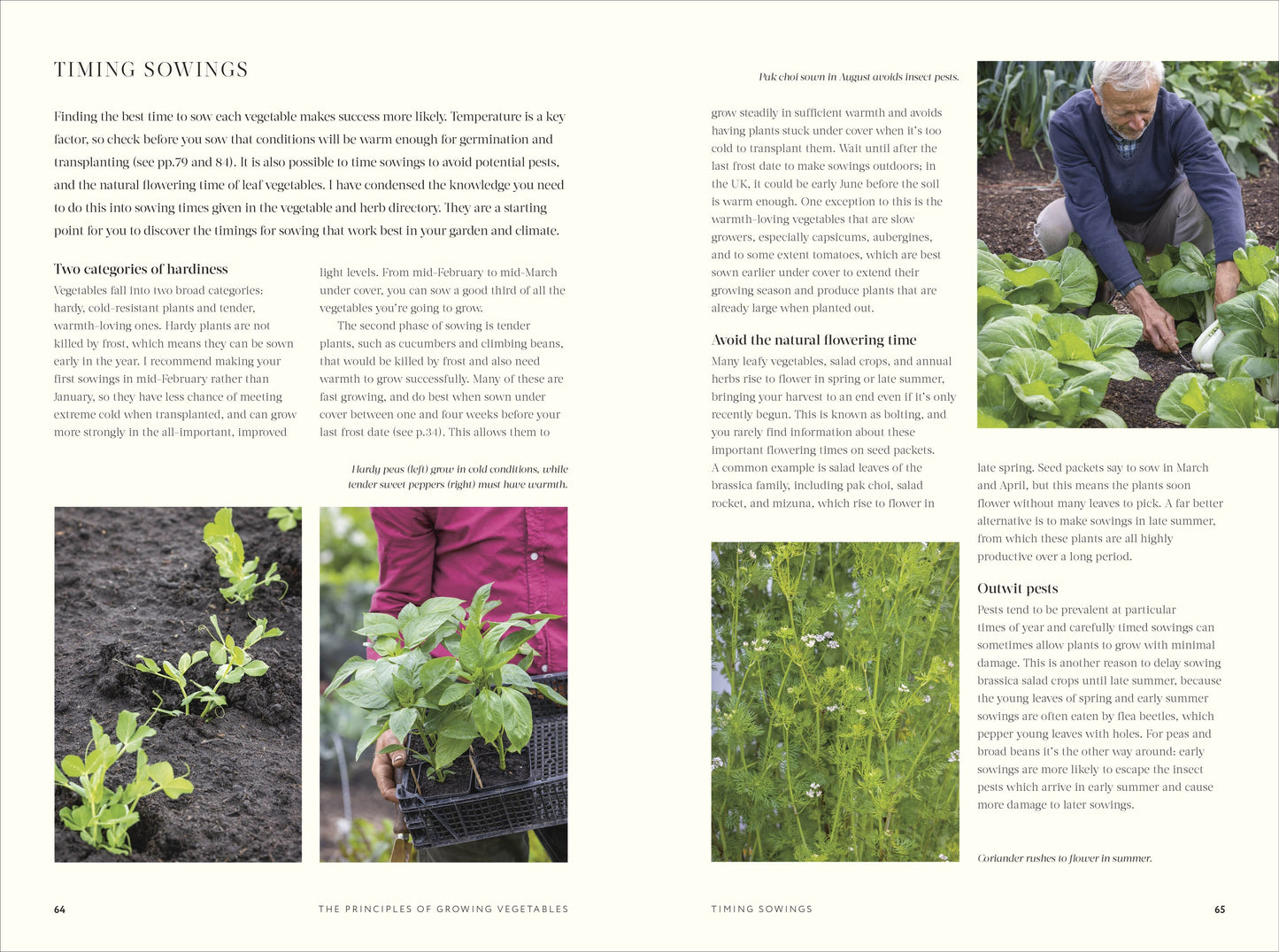 No Dig: Nurture Your Soil to Grow Better Veg