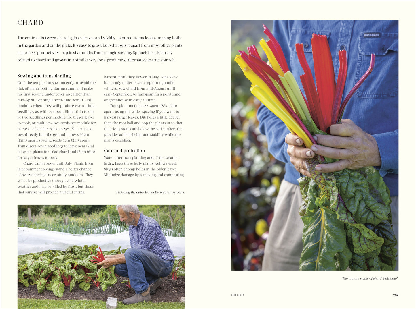 No Dig: Nurture Your Soil to Grow Better Veg