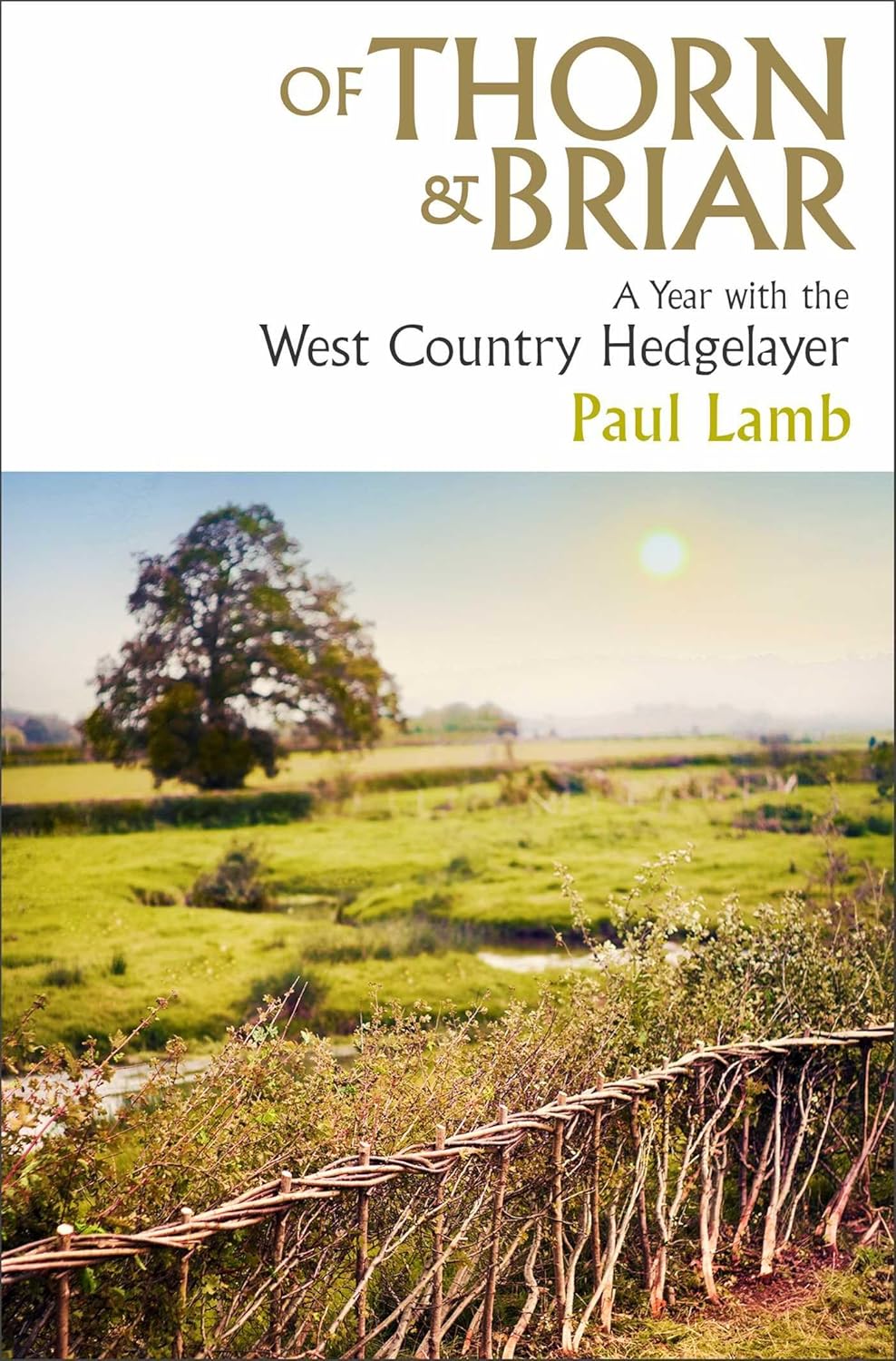 Of Thorn & Briar : A Year with the West Country Hedgelayer