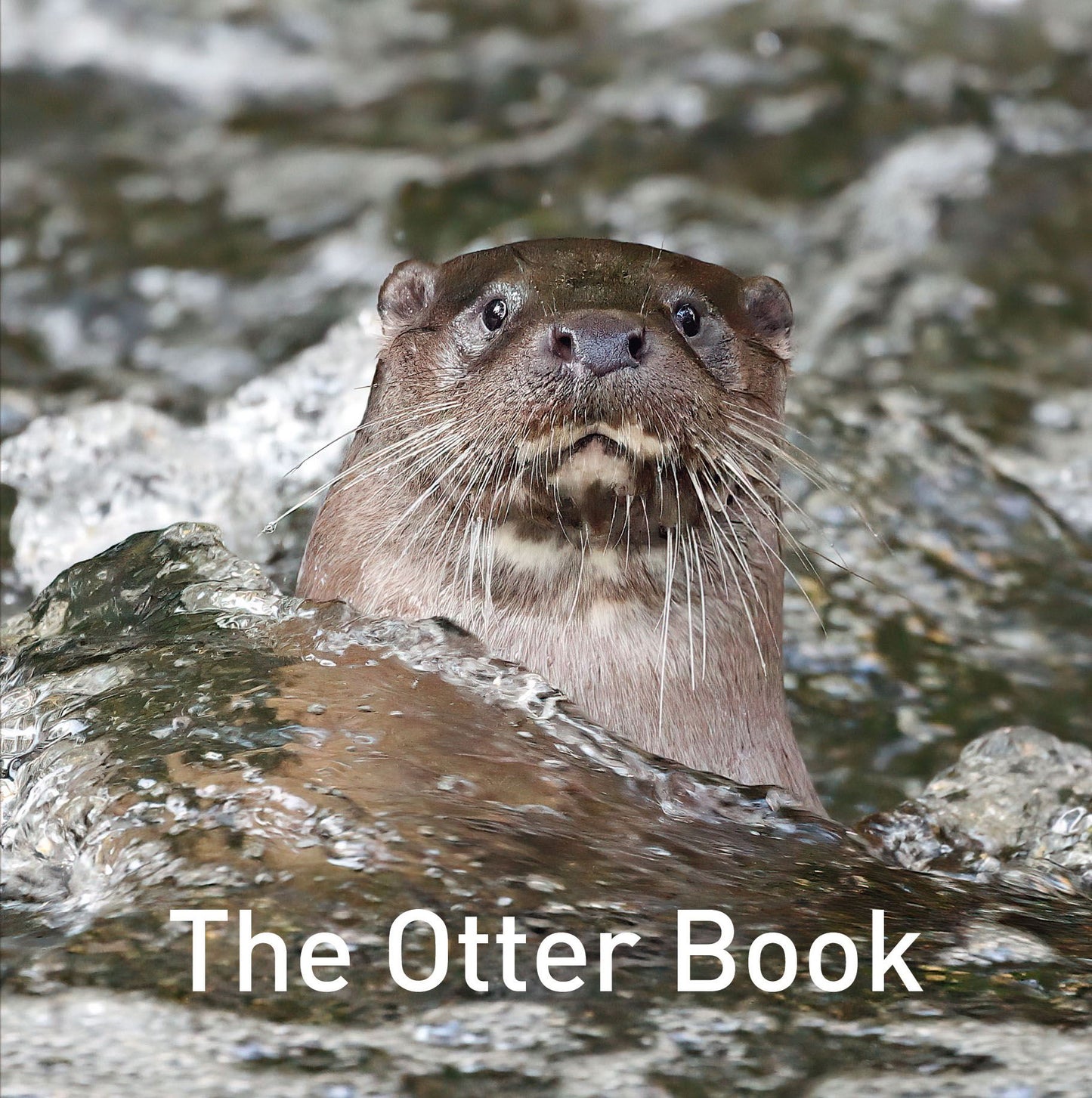 The Otter Book