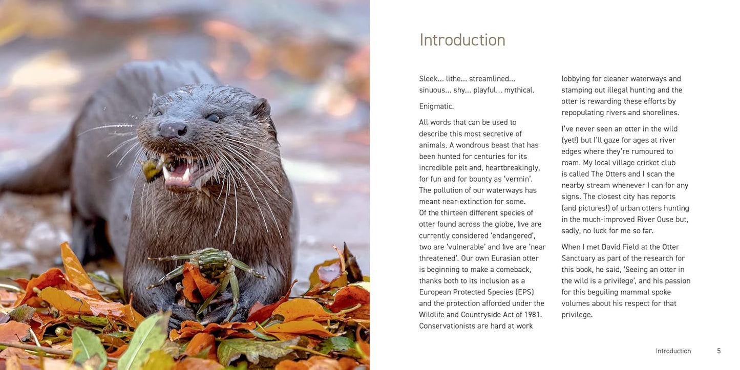 The Otter Book