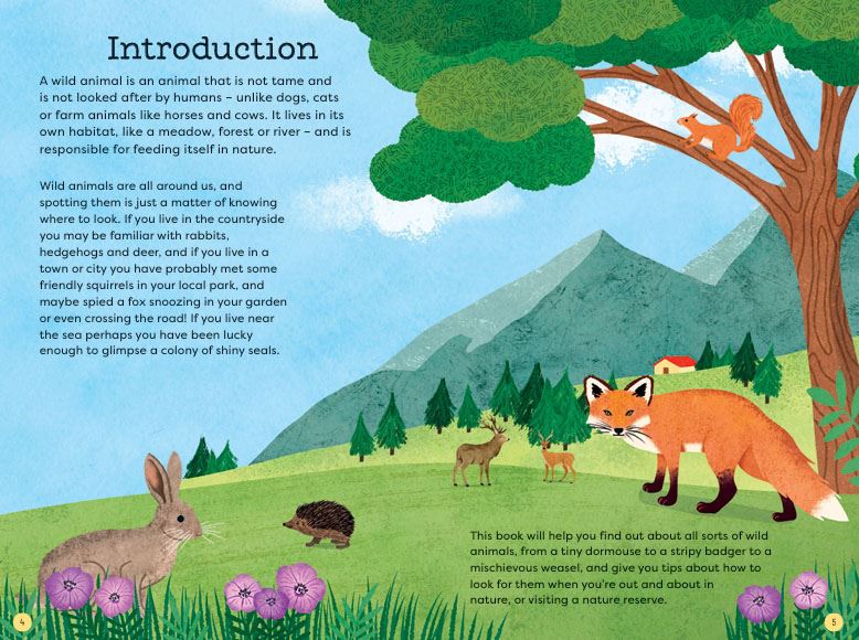National Trust: Out and About: Animal Spotter: A Children’s Guide to 50 Different Wild Animals
