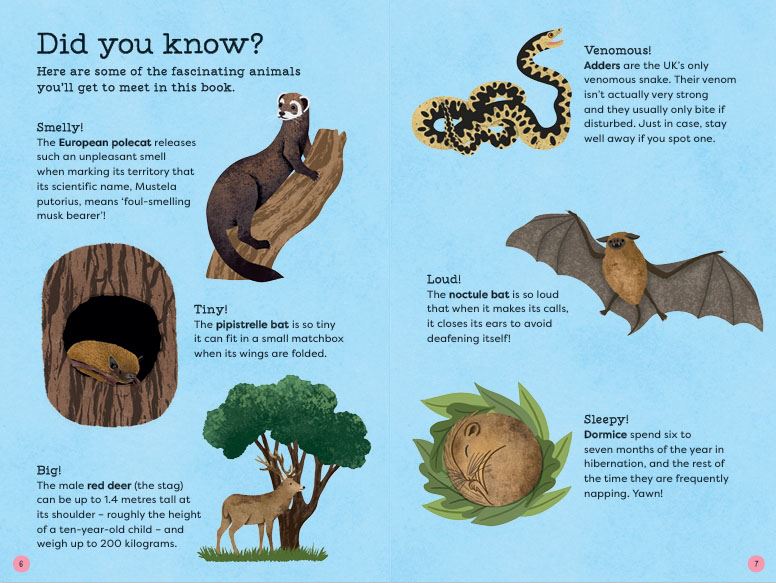 National Trust: Out and About: Animal Spotter: A Children’s Guide to 50 Different Wild Animals