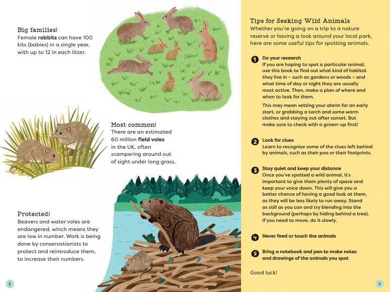 National Trust: Out and About: Animal Spotter: A Children’s Guide to 50 Different Wild Animals