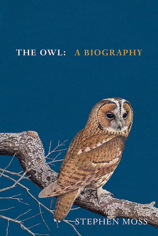 A Tawny Owl on front cover of book by Stephen Moss