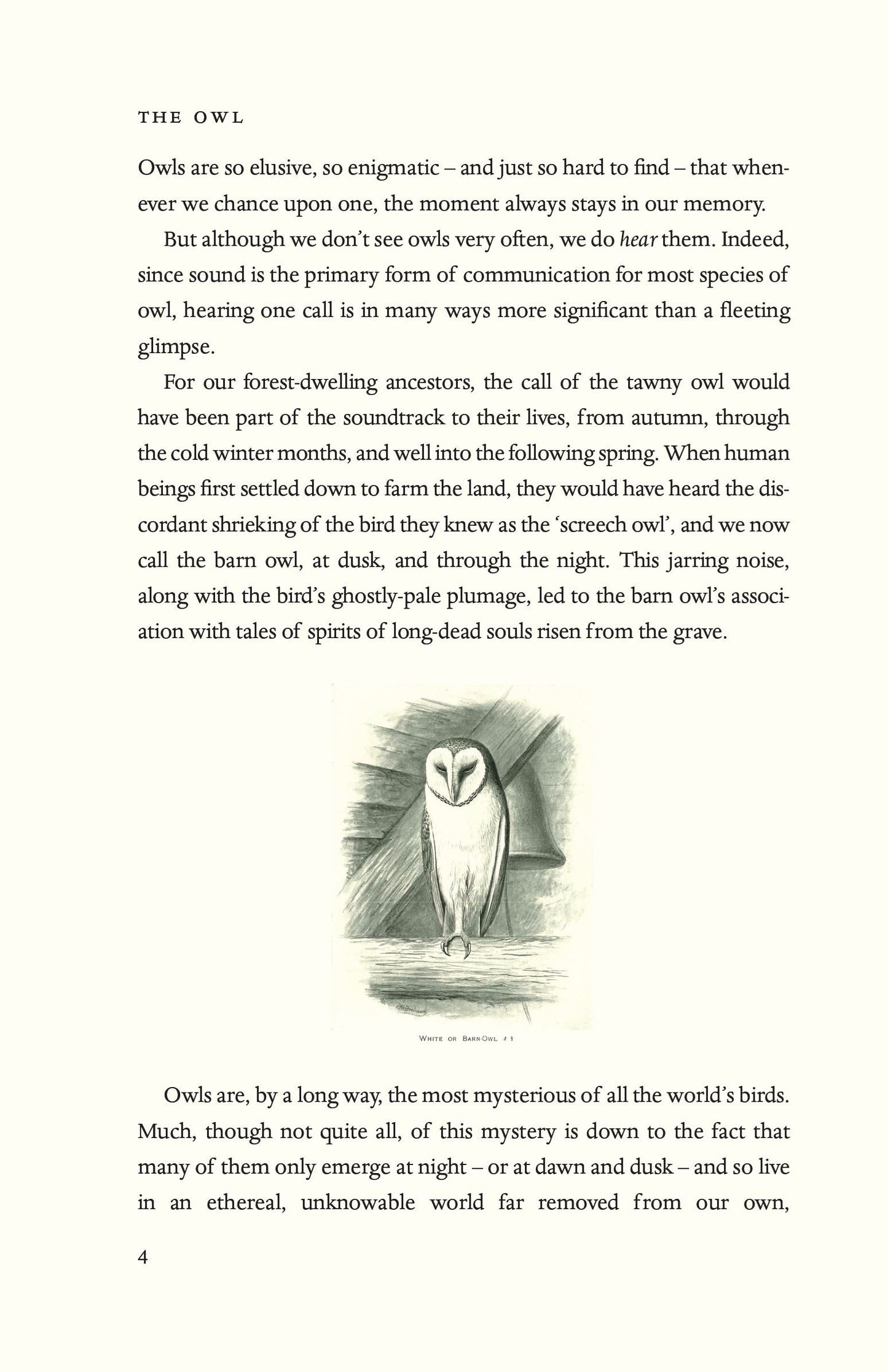 The Owl: A Biography