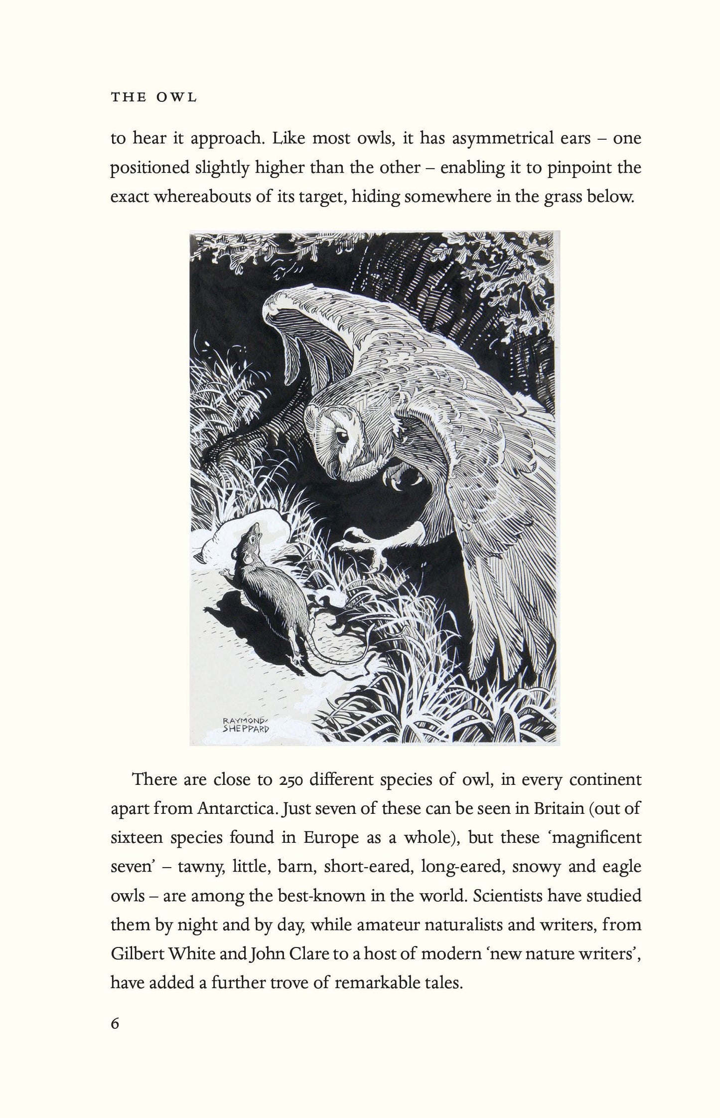 The Owl: A Biography