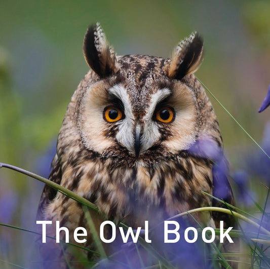 The Owl Book
