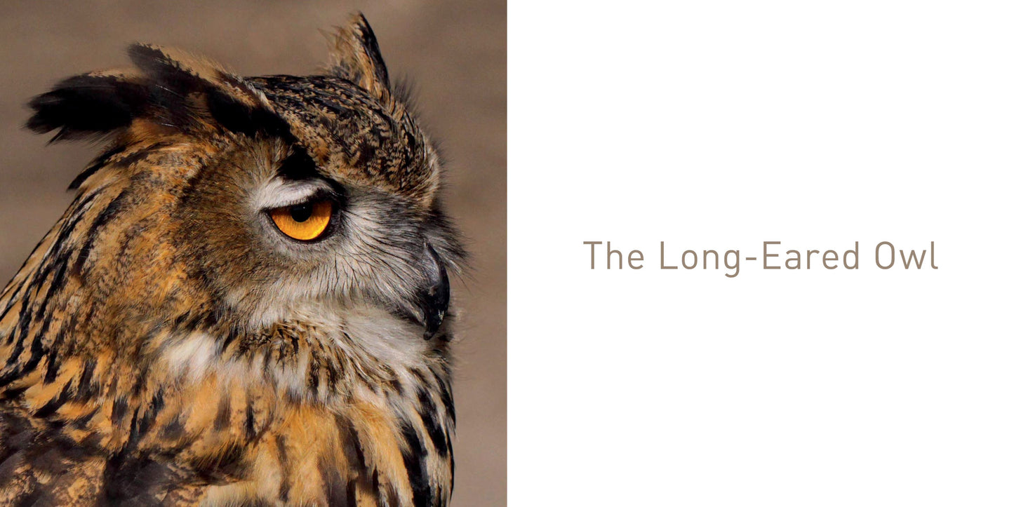 The Owl Book