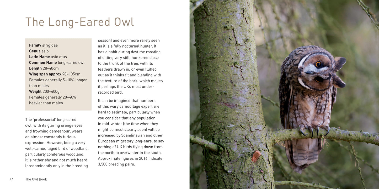The Owl Book