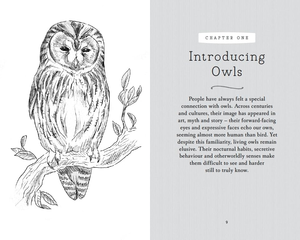 RSPB Pocket Book of Owls